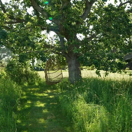 Prázdninový dům From 1947 In Hills